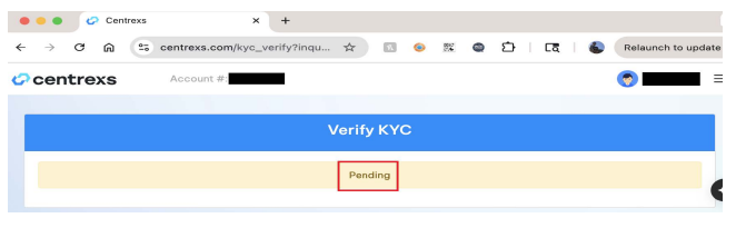 OTP verification screen